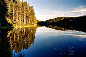 Punkaharju, Savonlinna. La zona nei pressi di Lusto, il museo della foresta finlandese. 